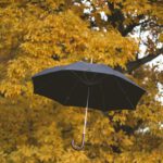 derde seizoen umbrella academy